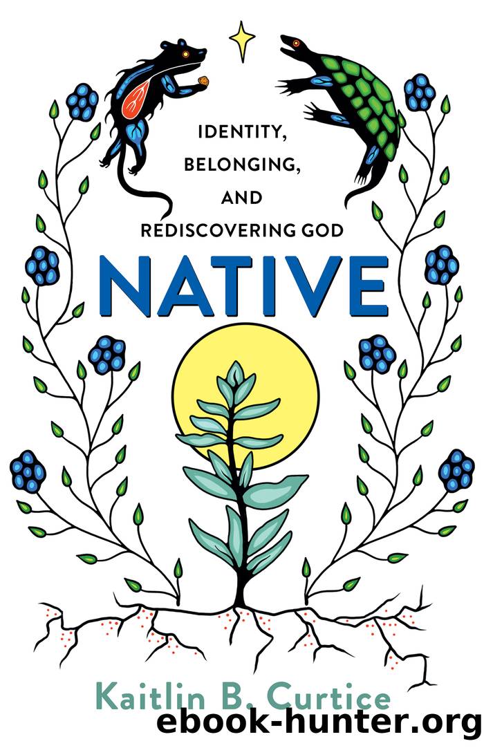 Native: Identity, Belonging, And Rediscovering God By Kaitlin B ...